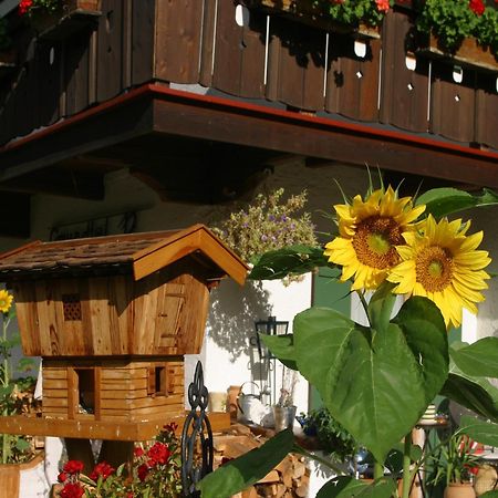 Gaestehaus Gmundtal Бишофсвизен Екстериор снимка